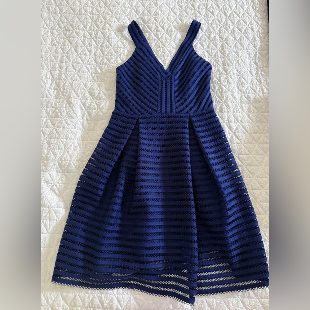 Express Navy Blue Striped Dress
